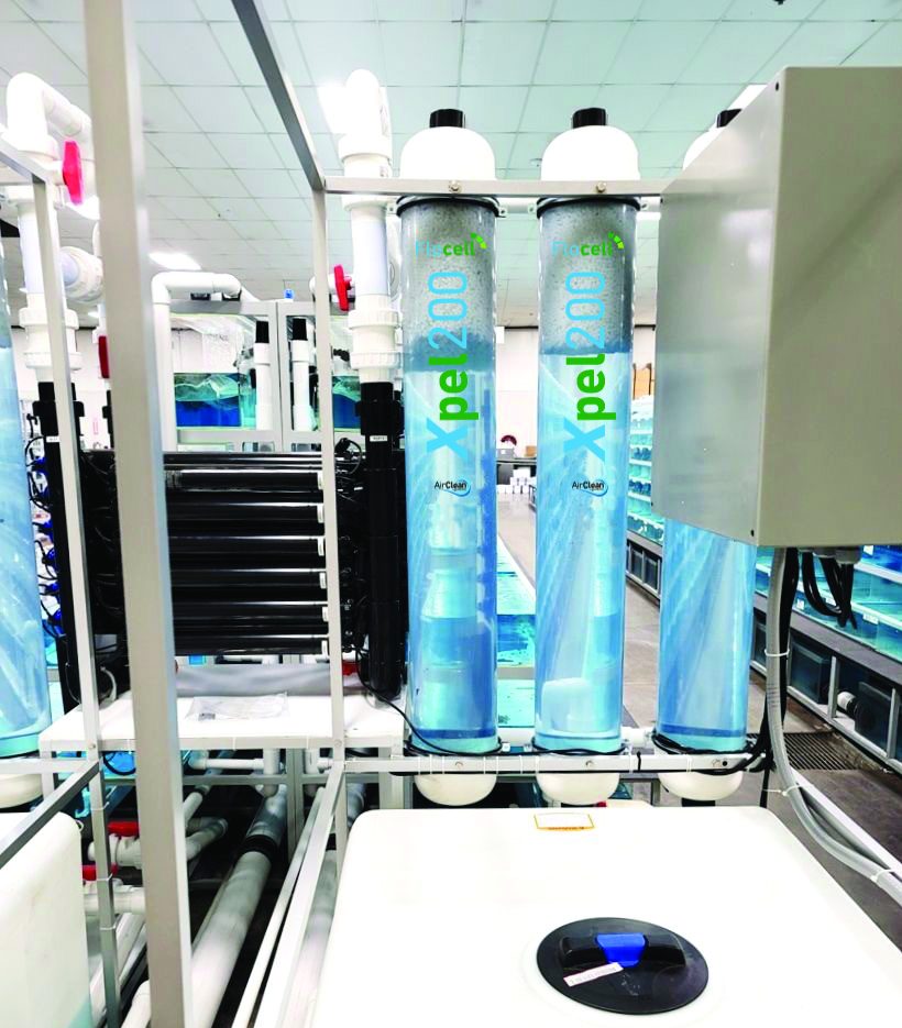Flocell Xpel Fines Filter for Livestock Application