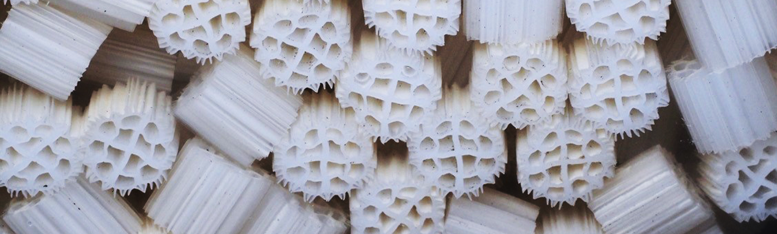 Microplastic Blog Banner