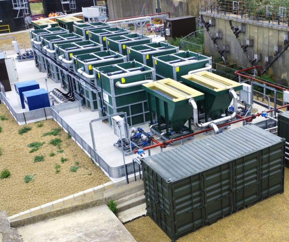 Horning Press release image 3