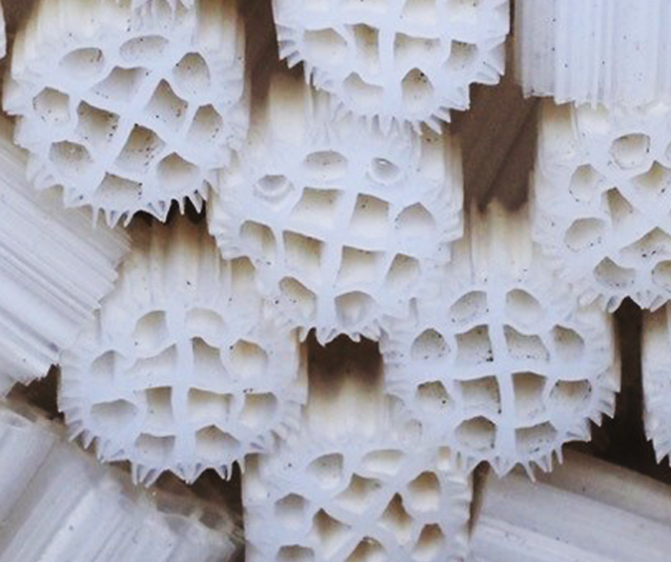 Microplastic Blog Banner